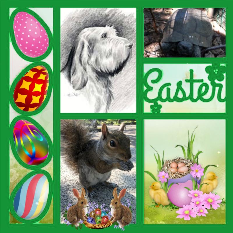 Cioppino of the Asiya family