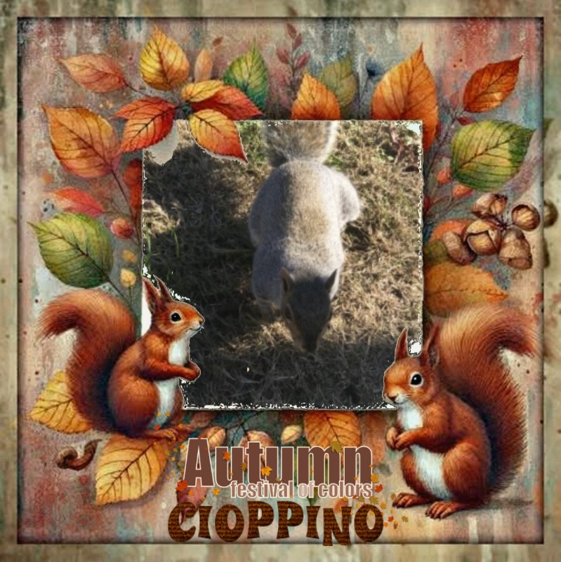Cioppino of the Asiya family