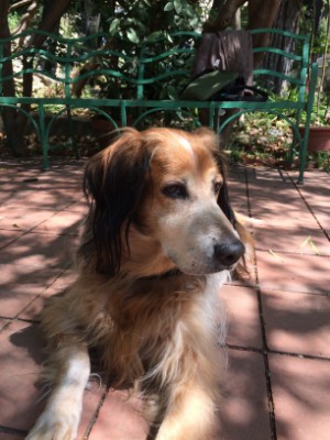 Asiya uploaded   7 year/s ago