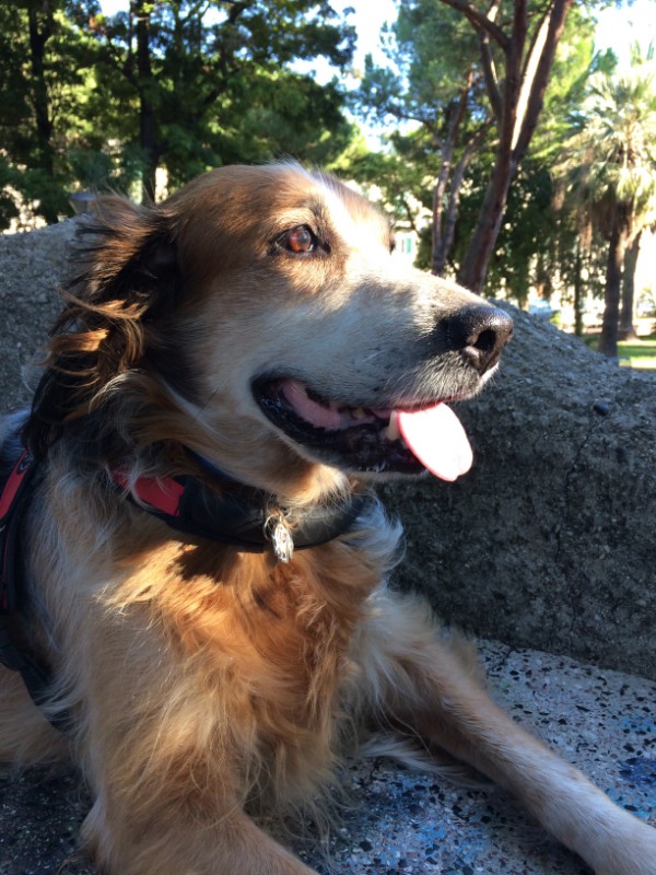 Asiya uploaded   8 year/s ago