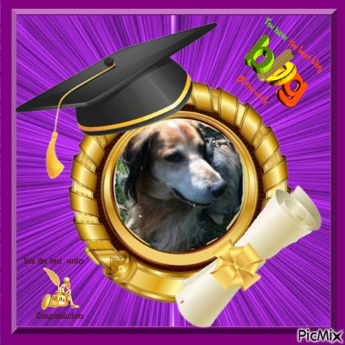 Asiya uploaded   36  day/s  ago