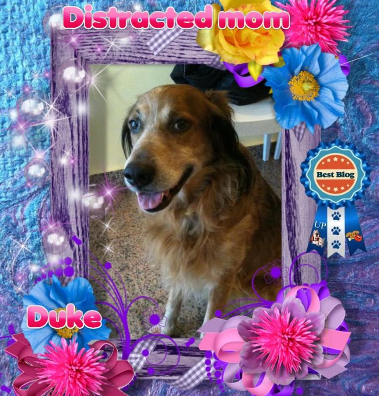 Asiya uploaded   42  day/s  ago