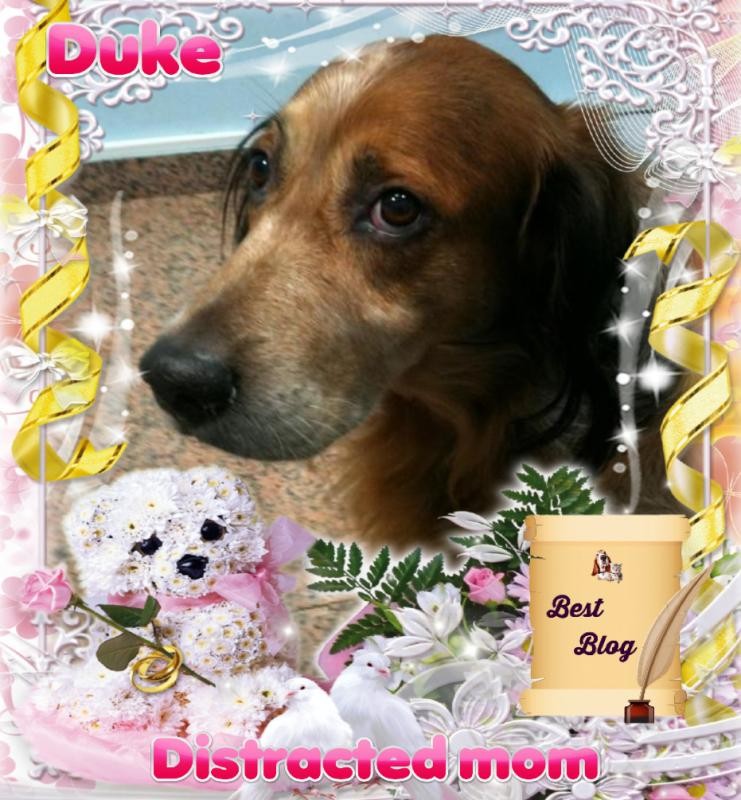 Asiya uploaded   33  day/s  ago