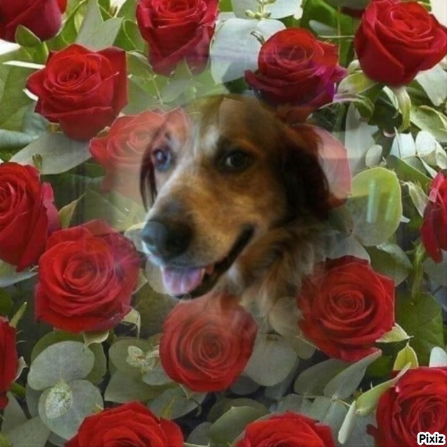 Asiya uploaded   42  day/s  ago