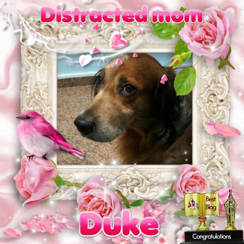 Asiya uploaded   41  day/s  ago