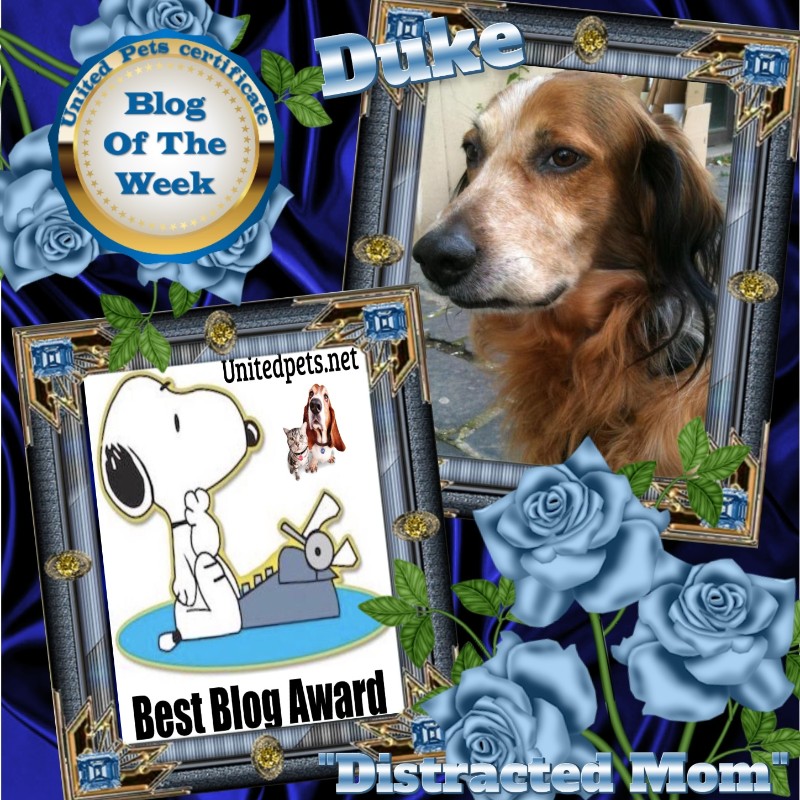 Asiya uploaded   34  day/s  ago