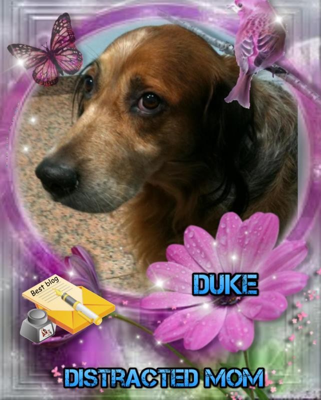 Asiya uploaded   31  day/s  ago