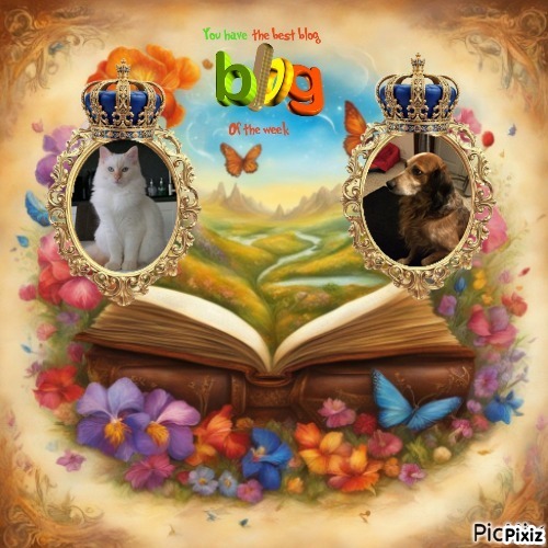 Asiya uploaded   30  day/s  ago