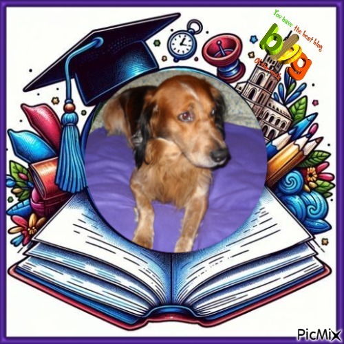 Asiya uploaded   42  day/s  ago