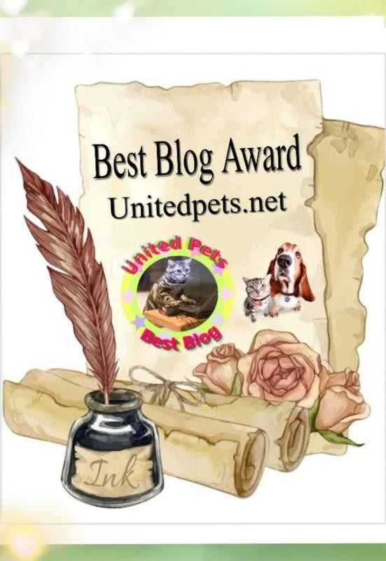 Asiya uploaded   35  day/s  ago