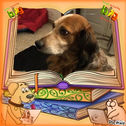 Asiya uploaded   41  day/s  ago