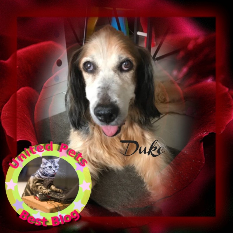 Asiya uploaded   35  day/s  ago