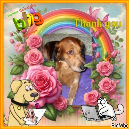 Asiya uploaded   22  day/s  ago