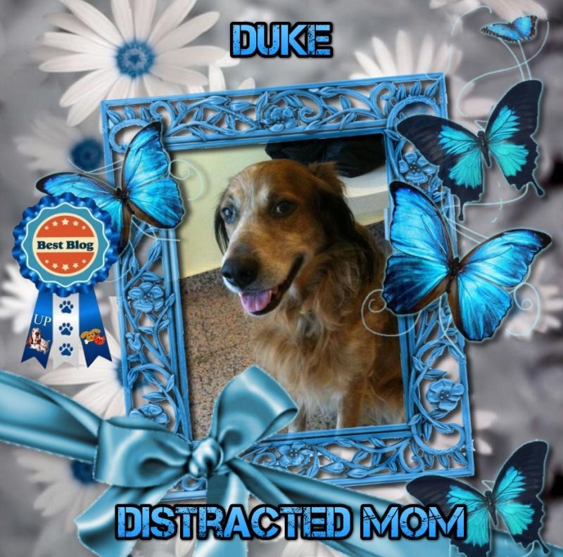 Asiya uploaded   34  day/s  ago