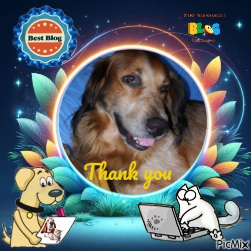 Asiya uploaded   31  day/s  ago