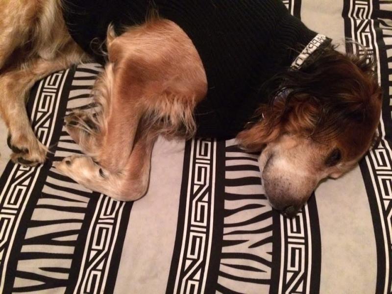 Asiya uploaded   93  day/s  ago