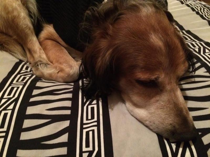 Asiya uploaded   93  day/s  ago