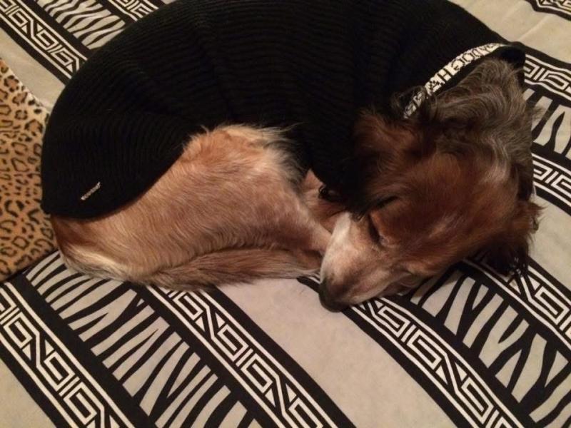 Asiya uploaded   93  day/s  ago