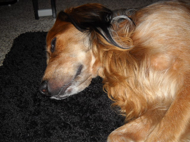 Asiya uploaded   3 year/s ago