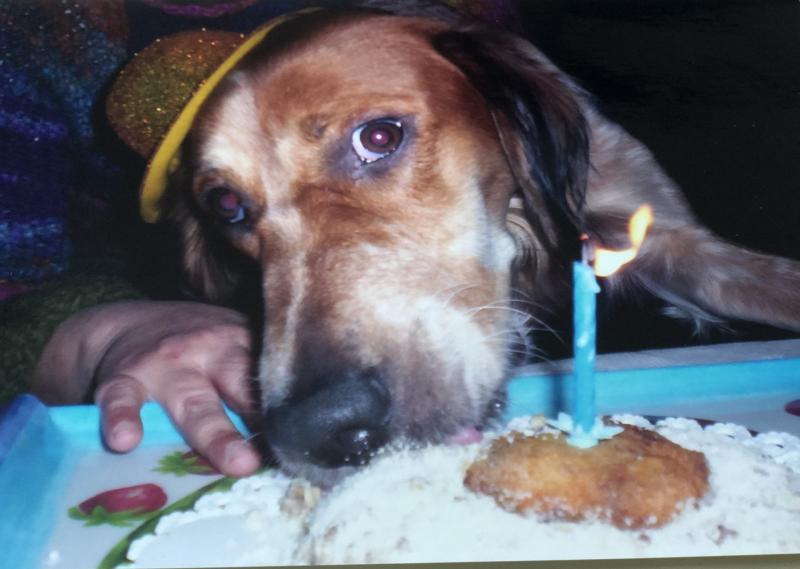 Asiya uploaded   349  day/s  ago