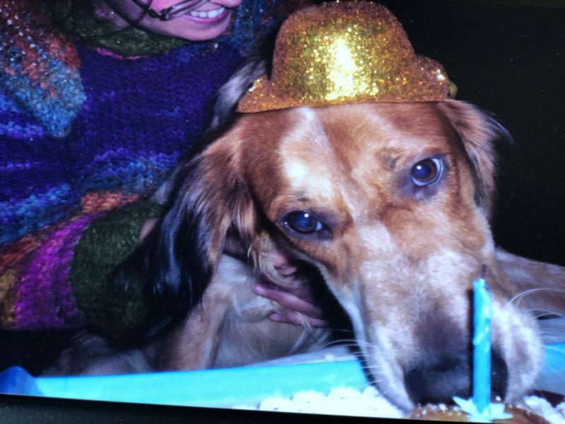 Asiya uploaded   338  day/s  ago