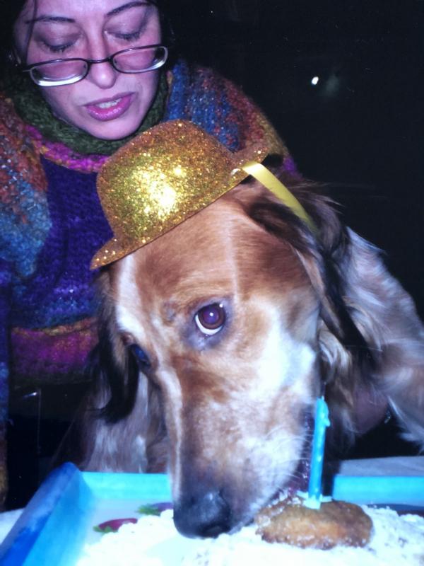 Asiya uploaded   338  day/s  ago