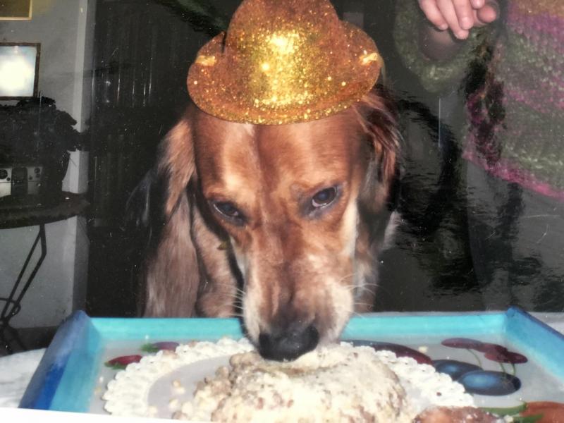 Asiya uploaded   261  day/s  ago