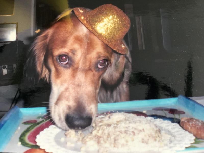 Asiya uploaded   261  day/s  ago