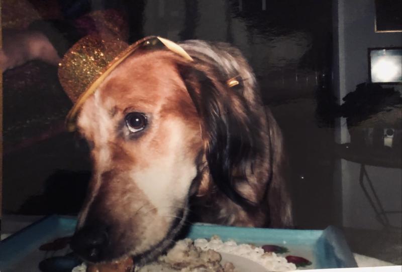 Asiya uploaded   37  day/s  ago