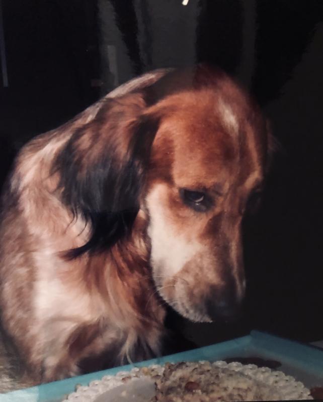 Asiya uploaded   37  day/s  ago