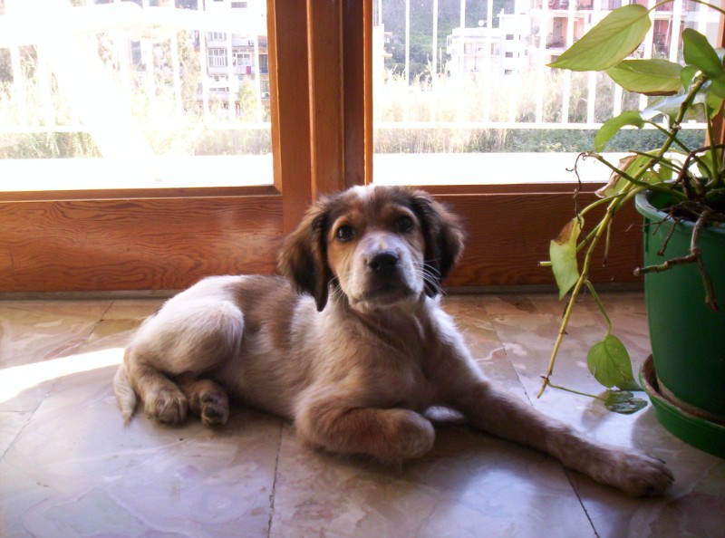 Asiya uploaded   3 year/s ago