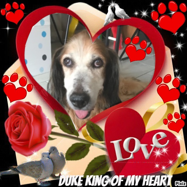 Asiya uploaded   72  day/s  ago