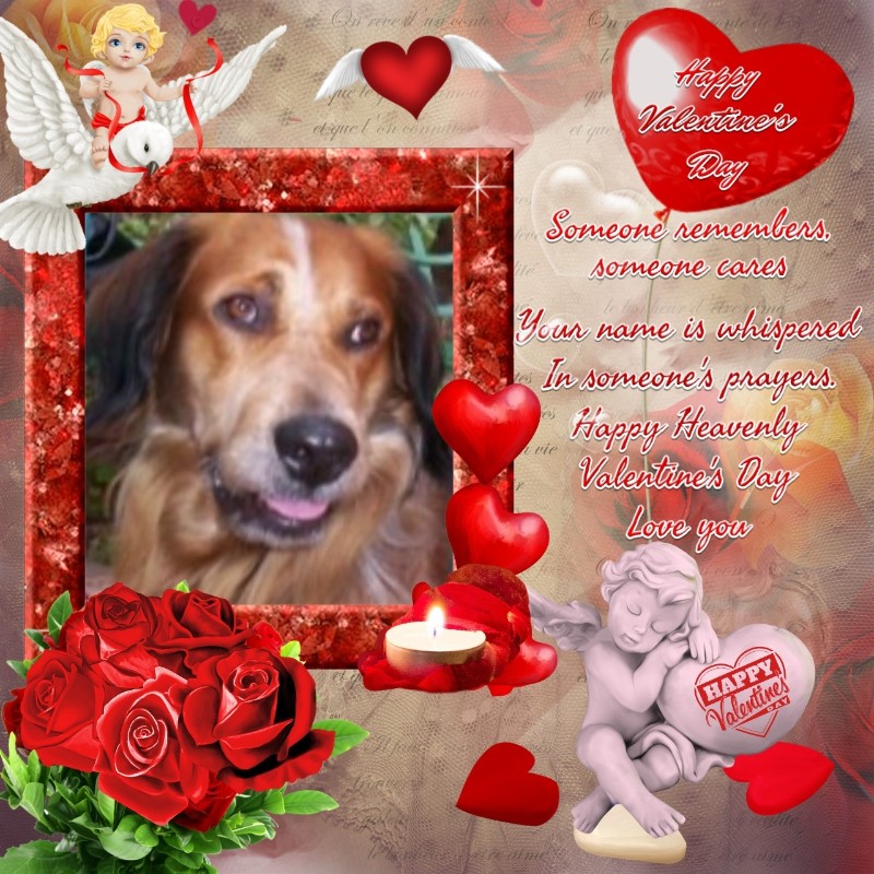 Asiya uploaded   70  day/s  ago