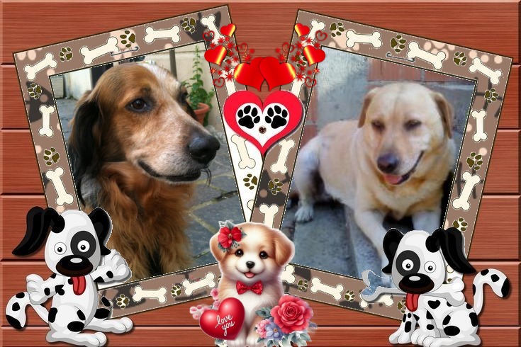 Asiya uploaded   83  day/s  ago