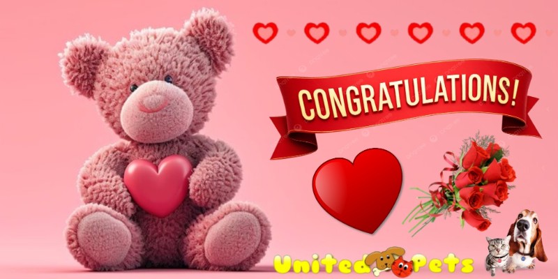 Asiya uploaded   66  day/s  ago