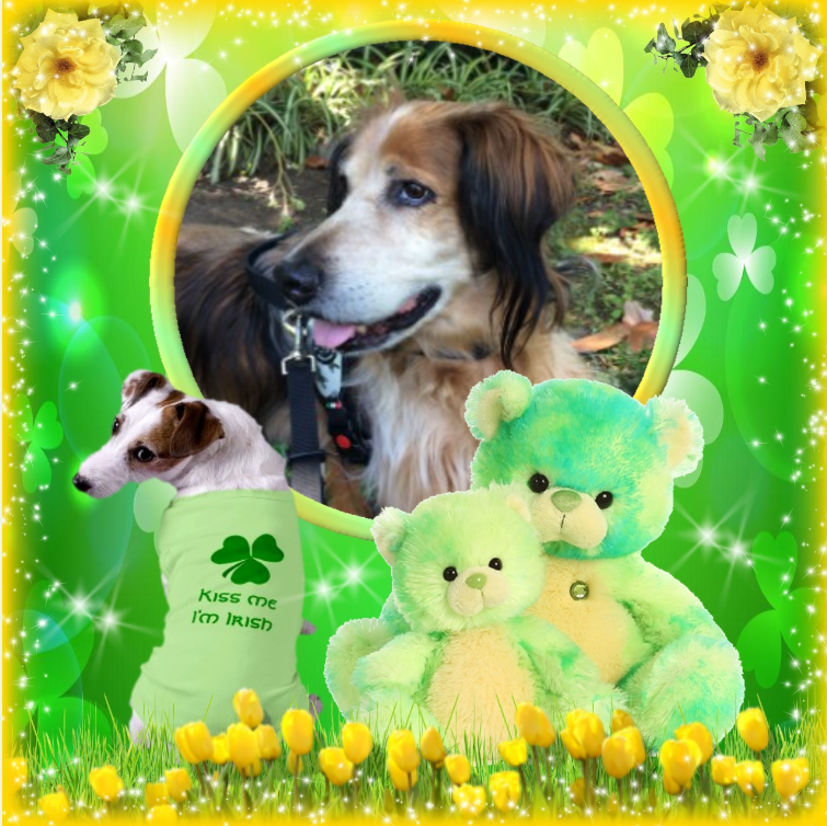 Asiya uploaded   45  day/s  ago