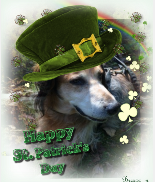 Asiya uploaded   56  day/s  ago