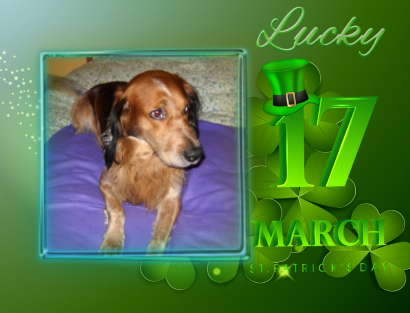 Asiya uploaded   45  day/s  ago