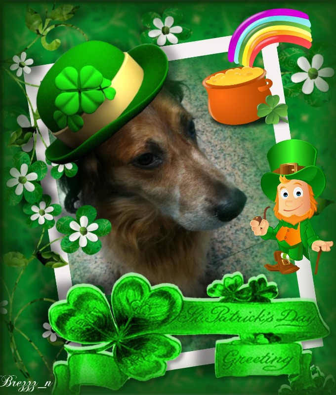 Asiya uploaded   31  day/s  ago