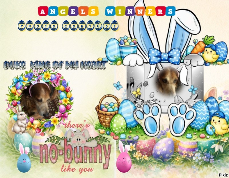 Asiya uploaded   5 hour/s ago