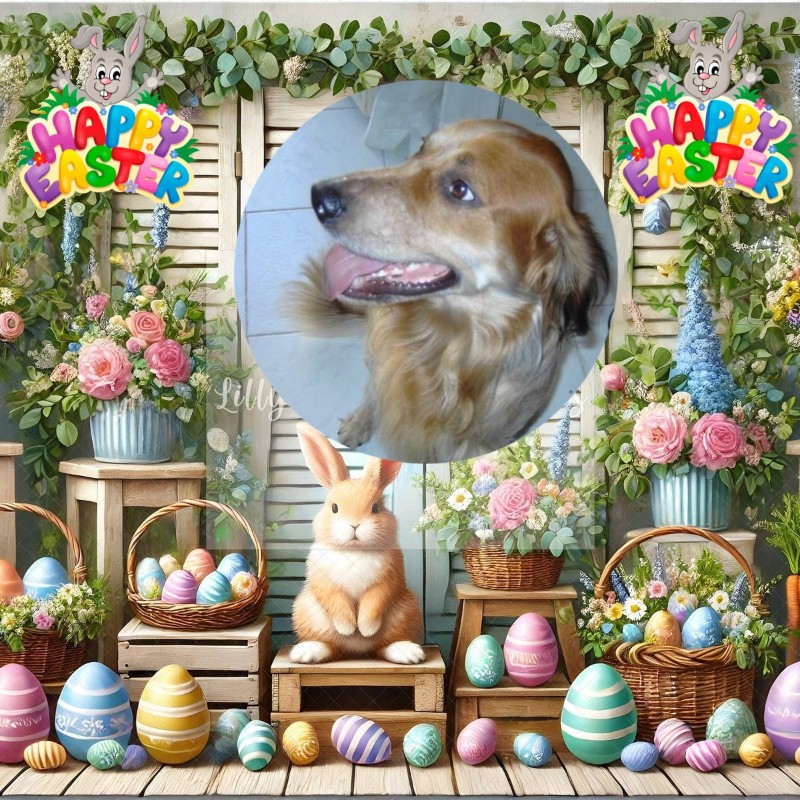 Duke King Of My Heart of the Asiya family