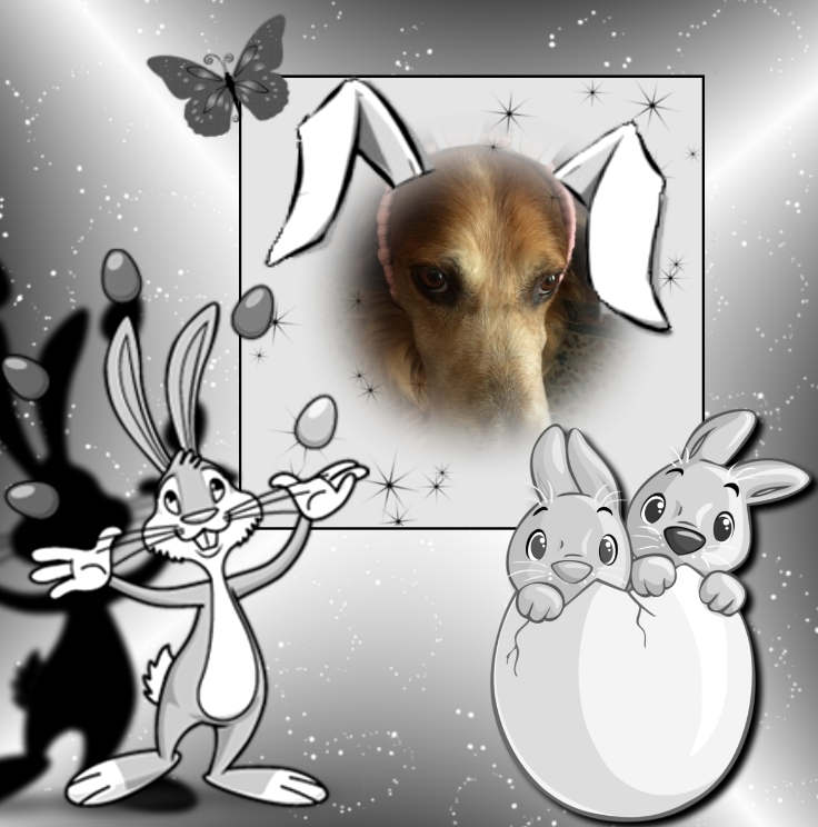 Duke King Of My Heart of the Asiya family