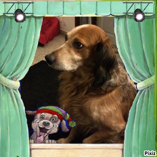 Asiya uploaded   82  day/s  ago