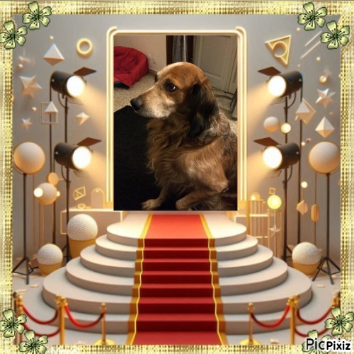 Asiya uploaded   82  day/s  ago