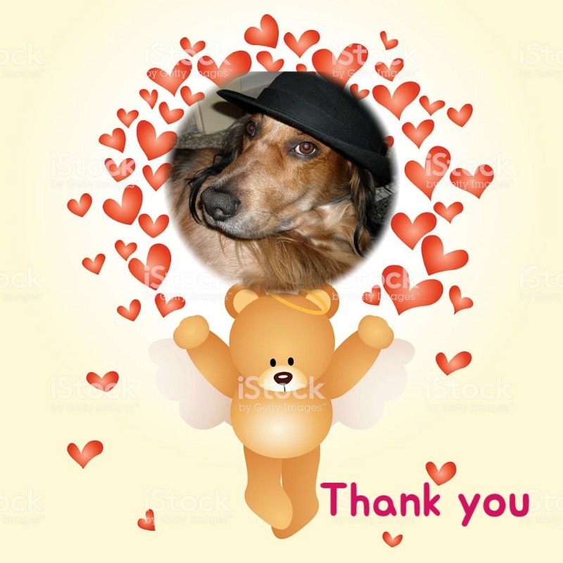 Asiya uploaded   77  day/s  ago