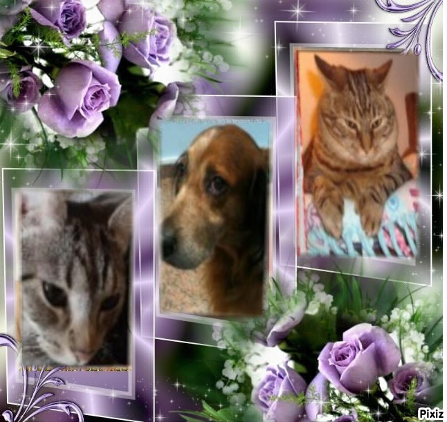 Asiya uploaded   83  day/s  ago