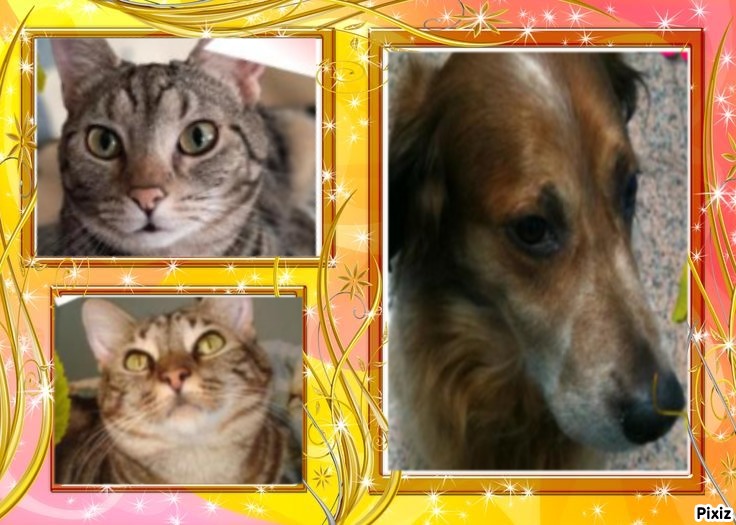 Asiya uploaded   81  day/s  ago