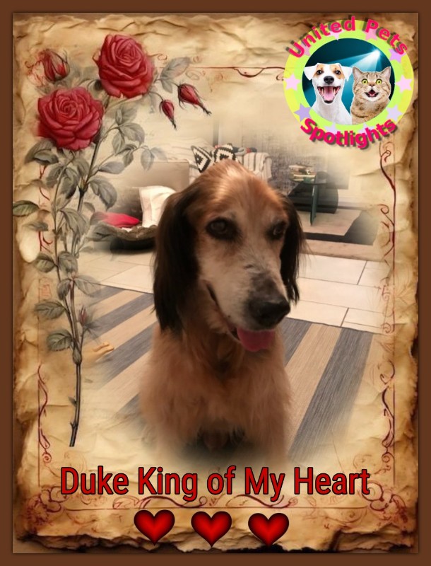 Asiya uploaded   80  day/s  ago