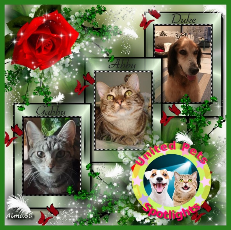 Asiya uploaded   82  day/s  ago