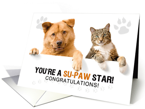 Asiya uploaded   82  day/s  ago